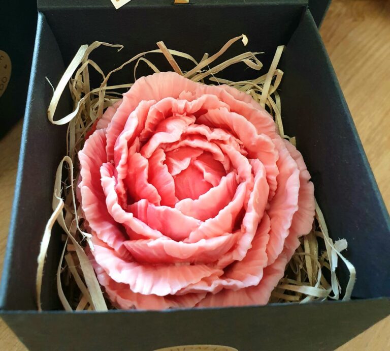 375757455 169131226209528 7426056938795873109 n